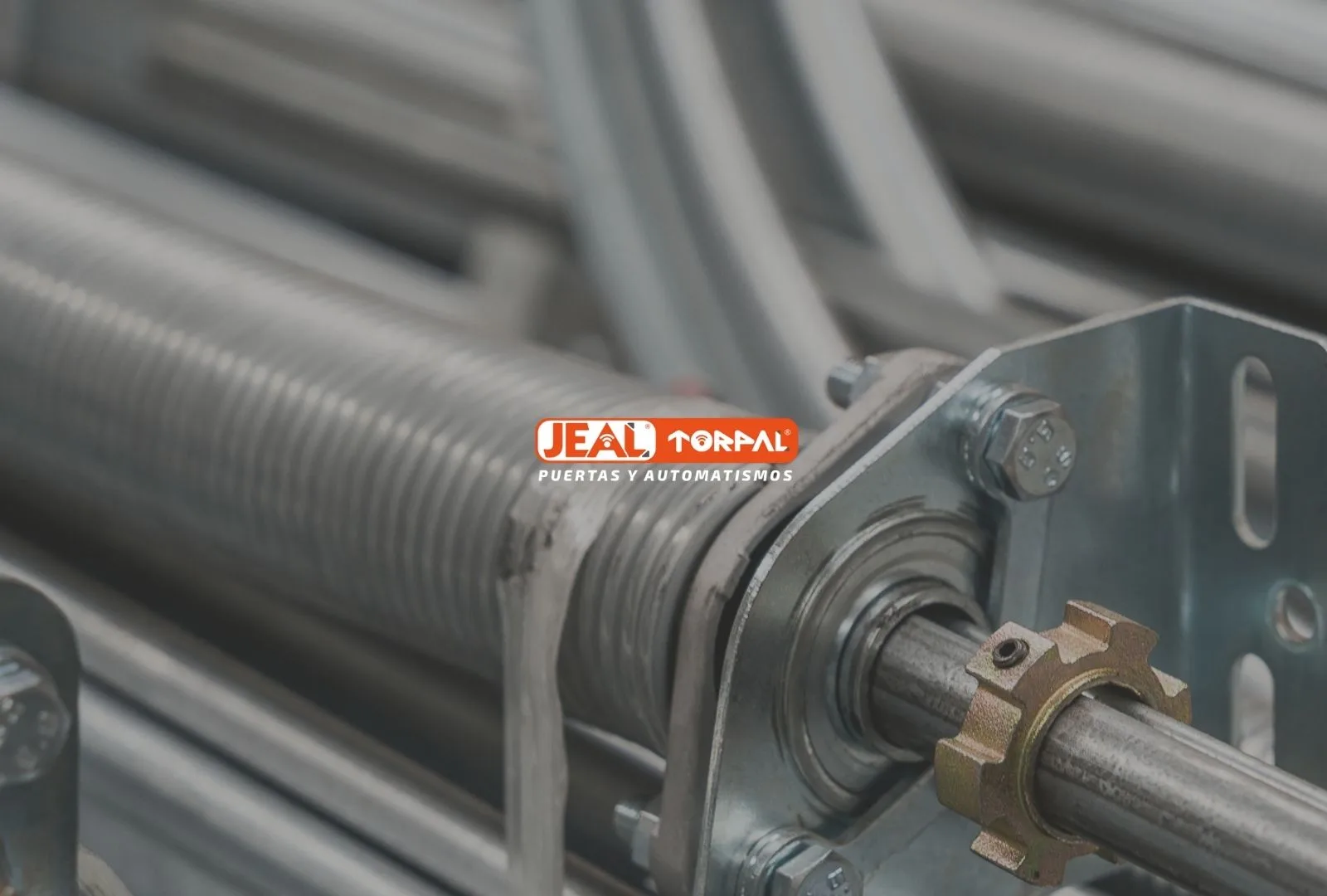 Jeal Torpal, comercio de Castellón: marca, fotografía y comunicación por La Bombilla Creativa