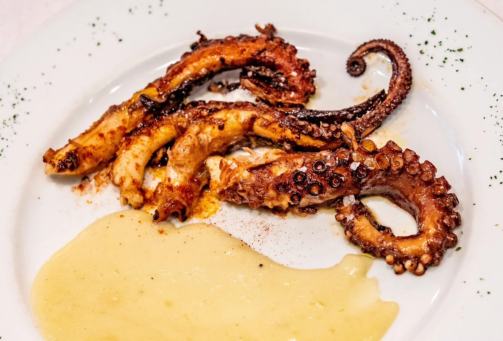 Gastro Grao · pulpo